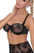 Roza Euterpe Bra